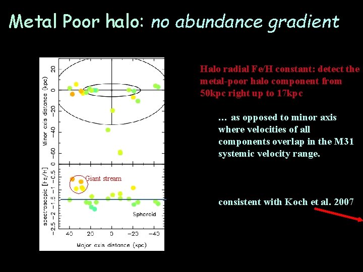 Metal Poor halo: no abundance gradient Halo radial Fe/H constant: detect the metal-poor halo