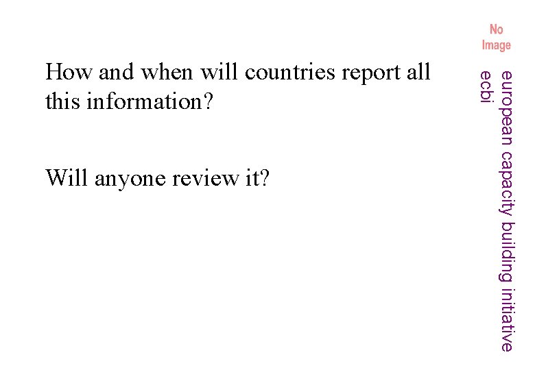 Will anyone review it? european capacity building initiative ecbi How and when will countries