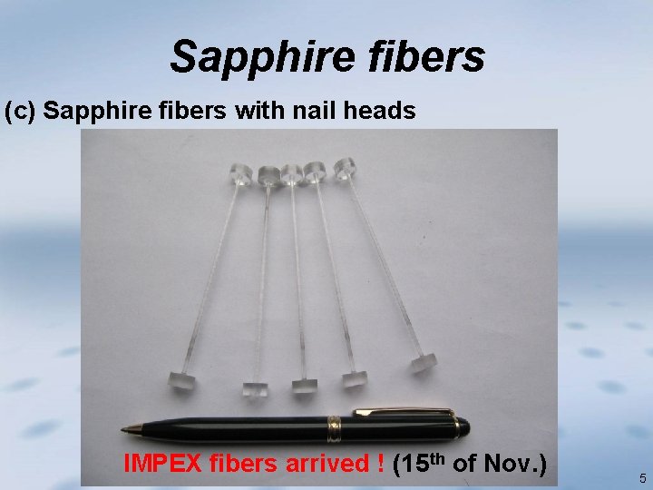 Sapphire fibers (c) Sapphire fibers with nail heads IMPEX fibers arrived ! (15 th