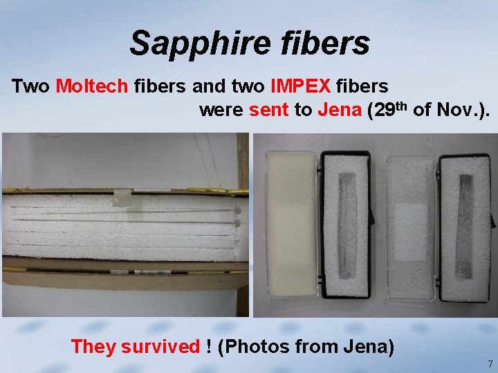 Sapphire fibers Two Moltech fibers and two IMPEX fibers were sent to Jena (29