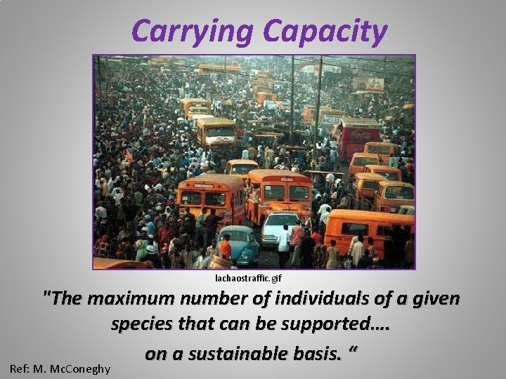 Carrying Capacity lachaostraffic. gif "The maximum number of individuals of a given species that