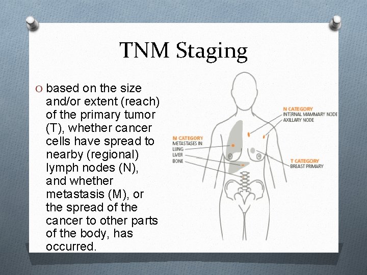 TNM Staging O based on the size and/or extent (reach) of the primary tumor