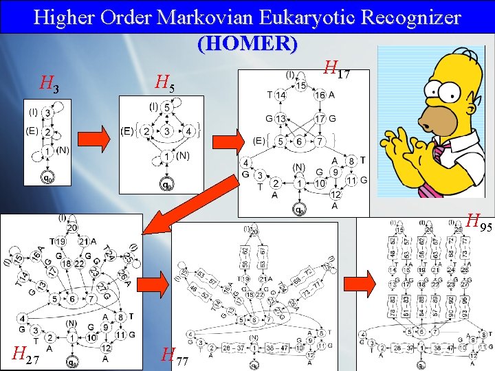 Higher Order Markovian Eukaryotic Recognizer (HOMER) H 3 H 5 H 17 H 95