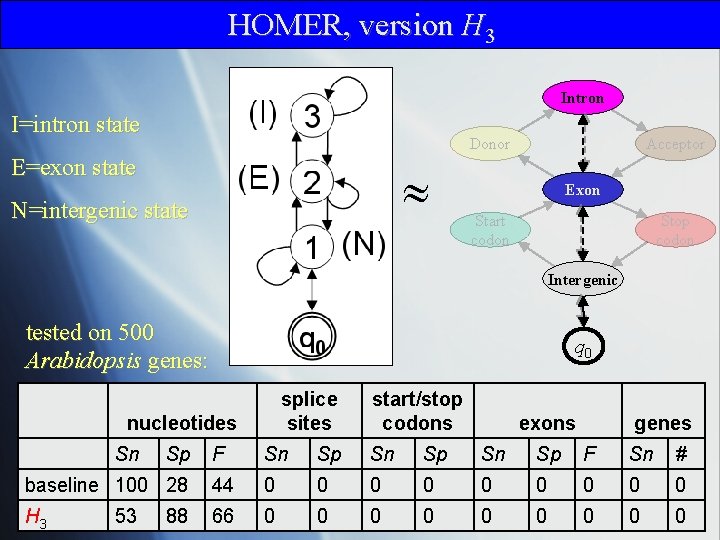 HOMER, version H 3 Intron I=intron state Donor E=exon state N=intergenic state Acceptor Exon