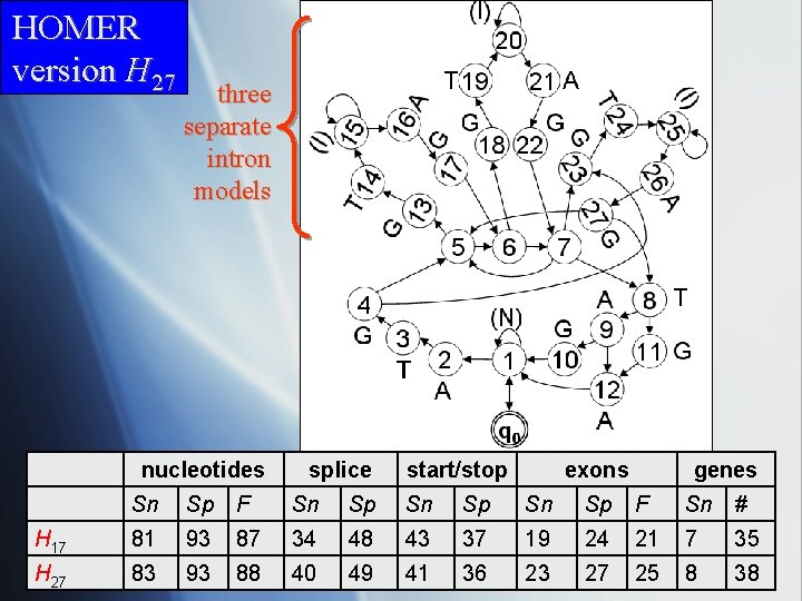 HOMER version H 27 three separate intron models nucleotides splice start/stop exons genes Sn