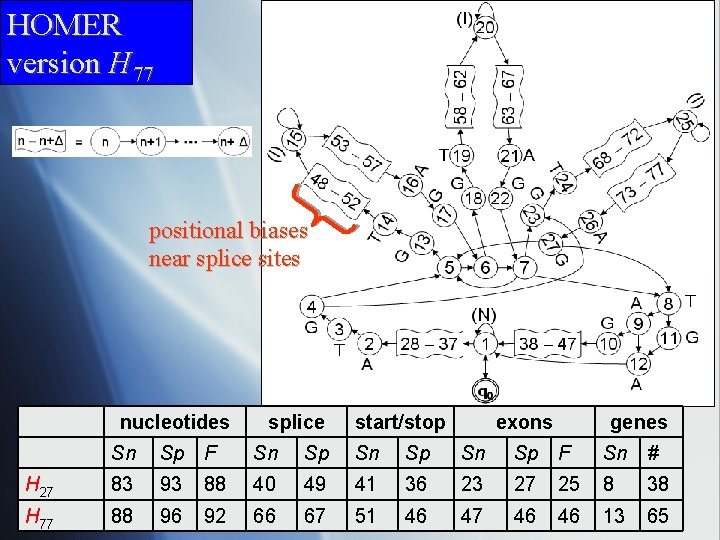HOMER version H 77 positional biases near splice sites nucleotides splice start/stop exons genes