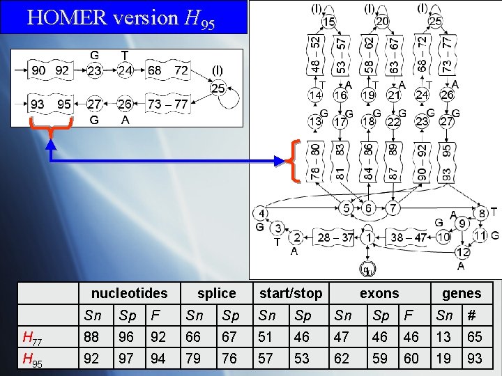 HOMER version H 95 nucleotides splice start/stop exons genes Sn Sp F Sn Sp