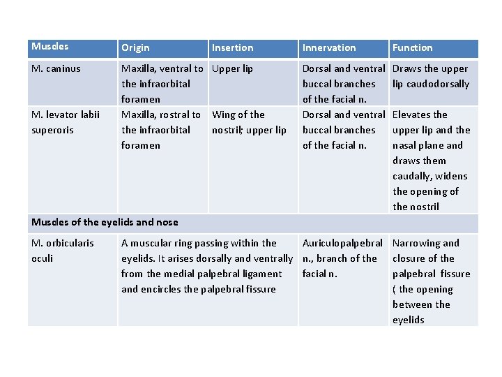 Muscles Origin M. caninus Maxilla, ventral to Upper lip the infraorbital foramen Maxilla, rostral