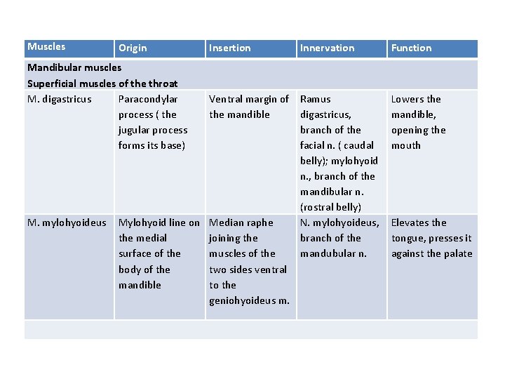 Muscles Origin Mandibular muscles Superficial muscles of the throat M. digastricus Paracondylar process (