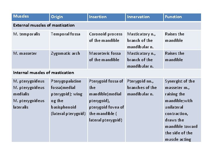 Muscles Origin Insertion Innervation Function Masticatory n. , branch of the mandibular n. Raises