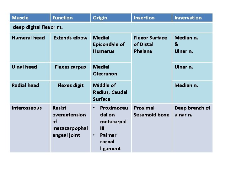 Muscle Function Origin Insertion Innervation Flexor Surface of Distal Phalanx Median n. & Ulnar