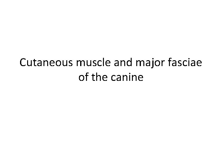 Cutaneous muscle and major fasciae of the canine 
