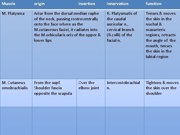 Muscle origin M. Platysma M. Cutaneus omobrachialis insertion innervation function Arise from the dorsal