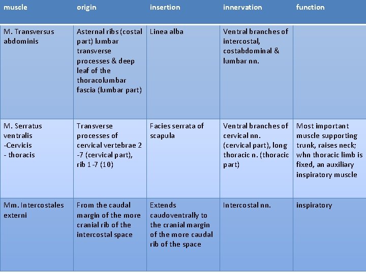 muscle origin insertion M. Transversus abdominis Asternal ribs (costal Linea alba part) lumbar transverse