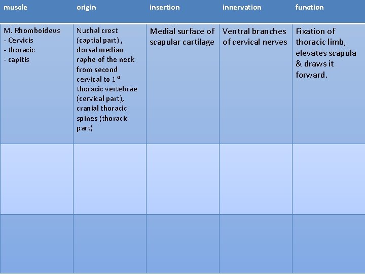 muscle origin insertion innervation function M. Rhomboideus - Cervicis - thoracic - capitis Nuchal