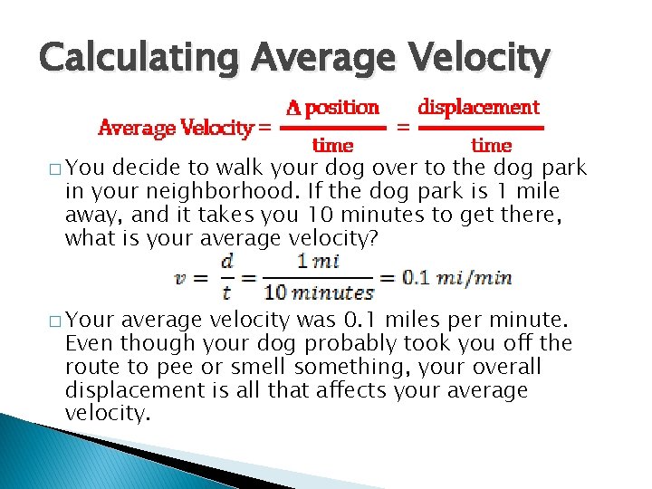 Calculating Average Velocity � You decide to walk your dog over to the dog