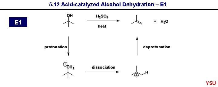 5. 12 Acid-catalyzed Alcohol Dehydration – E 1 YSU 