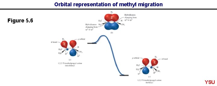 Orbital representation of methyl migration Figure 5. 6 YSU 