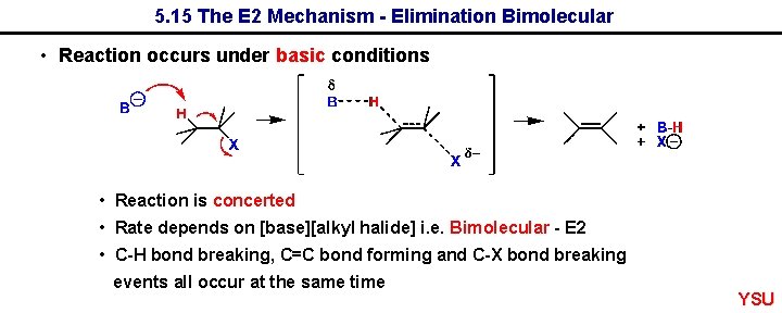 5. 15 The E 2 Mechanism - Elimination Bimolecular • Reaction occurs under basic
