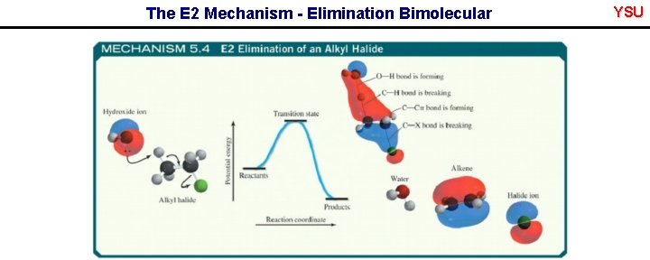 The E 2 Mechanism - Elimination Bimolecular YSU 