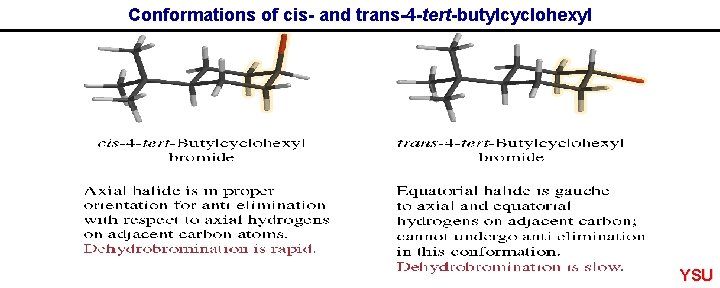 Conformations of cis- and trans-4 -tert-butylcyclohexyl YSU 