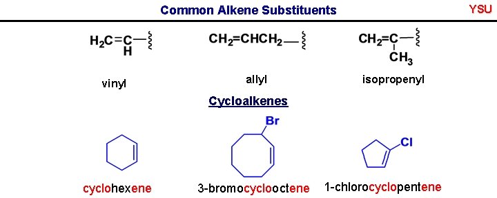 YSU Common Alkene Substituents vinyl allyl isopropenyl Cycloalkenes cyclohexene 3 -bromocyclooctene 1 -chlorocyclopentene 