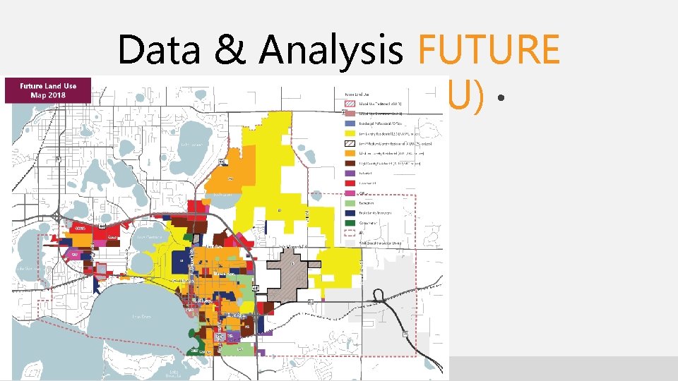 Data & Analysis FUTURE LAND USE (FLU) 