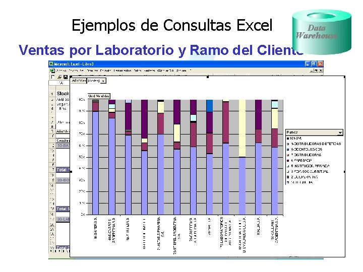 Ejemplos de Consultas Excel Data Warehouse Ventas por Laboratorio y Ramo del Cliente 