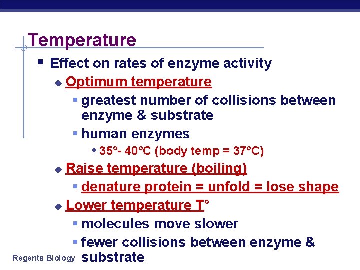 Temperature § Effect on rates of enzyme activity Optimum temperature § greatest number of