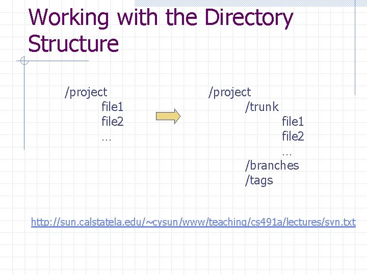 Working with the Directory Structure /project file 1 file 2 … /project /trunk file