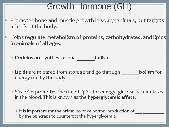 Growth Hormone (GH) • Promotes bone and muscle growth in young animals, but targets