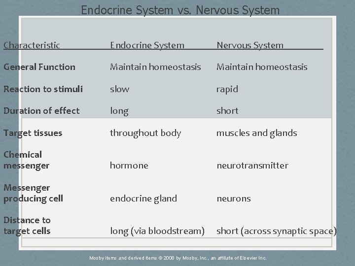 Endocrine System vs. Nervous System Characteristic Endocrine System Nervous System General Function Maintain homeostasis