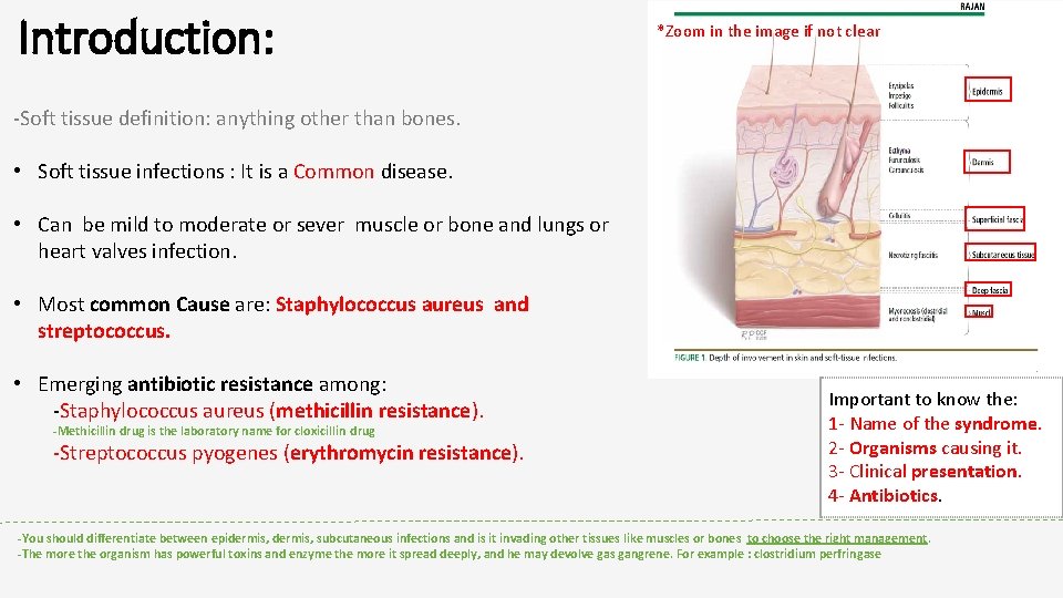 Introduction: *Zoom in the image if not clear -Soft tissue definition: anything other than