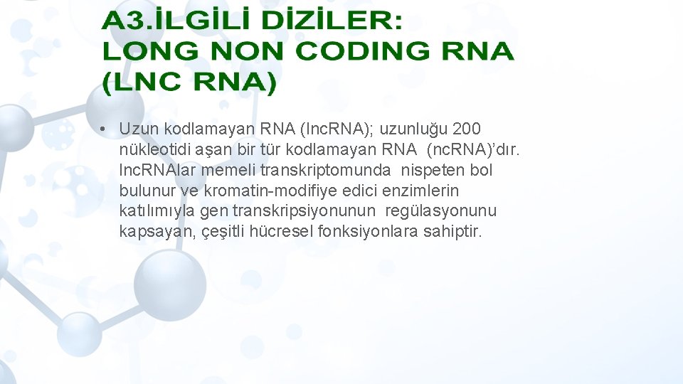  • Uzun kodlamayan RNA (lnc. RNA); uzunluğu 200 nükleotidi aşan bir tür kodlamayan