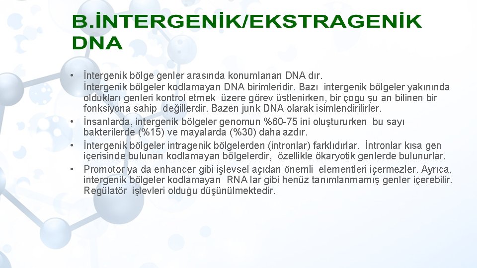  • İntergenik bölge genler arasında konumlanan DNA dır. İntergenik bölgeler kodlamayan DNA birimleridir.