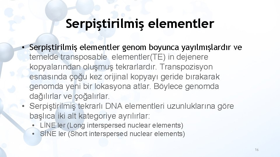 Serpiştirilmiş elementler • Serpiştirilmiş elementler genom boyunca yayılmışlardır ve temelde transposable elementler(TE) in dejenere