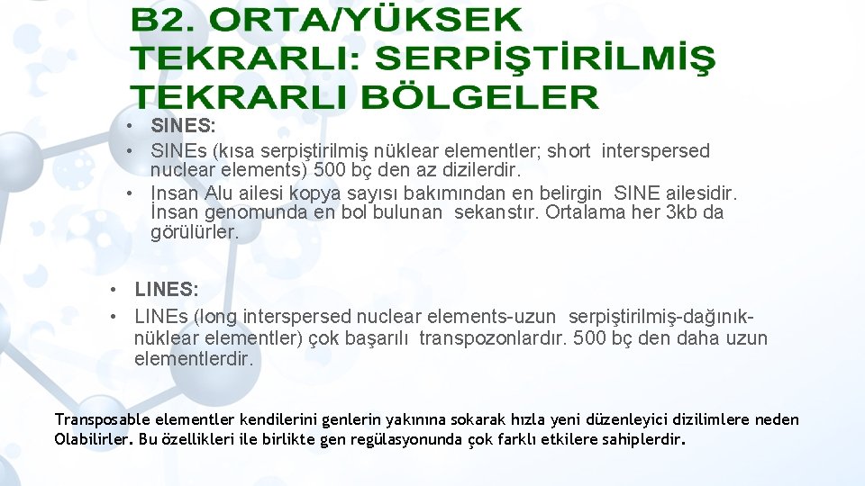  • SINES: • SINEs (kısa serpiştirilmiş nüklear elementler; short interspersed nuclear elements) 500