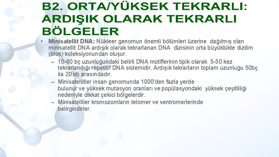  • Minisatellit DNA: Nükleer genomun önemli bölümleri üzerine dağılmış olan minisatellit DNA ardışık