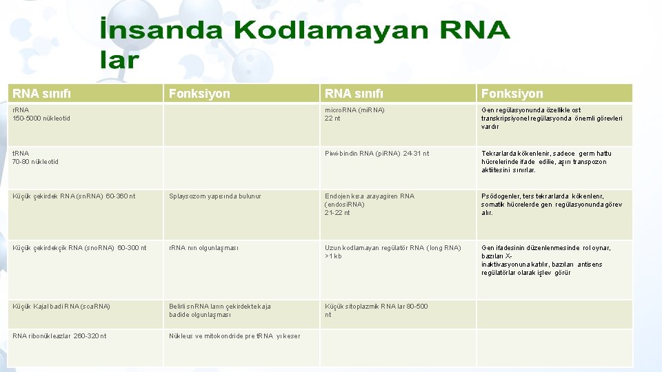 RNA sınıfı Fonksiyon r. RNA 150 -5000 nükleotid micro. RNA (mi. RNA) 22 nt