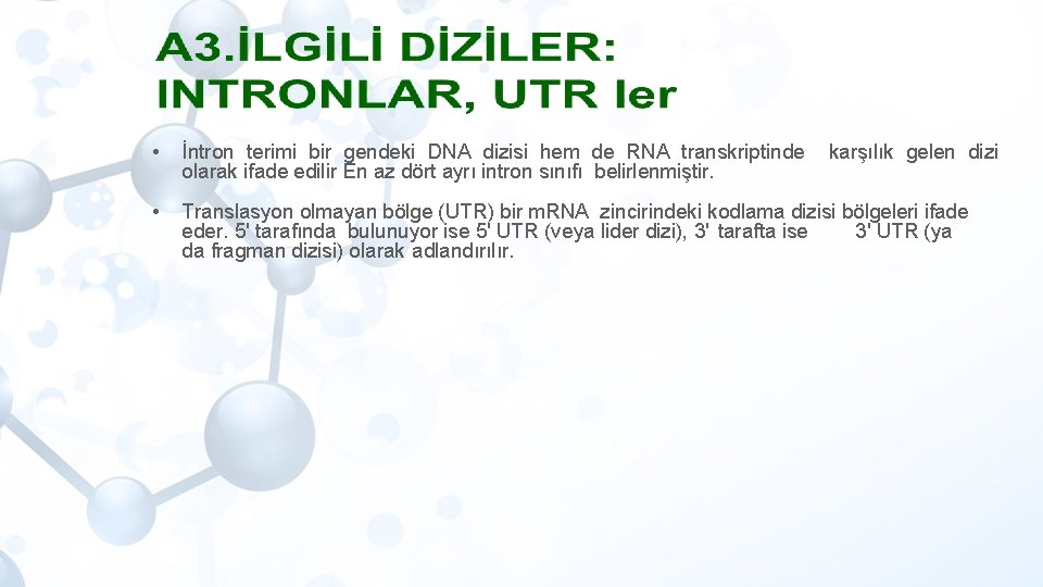  • İntron terimi bir gendeki DNA dizisi hem de RNA transkriptinde olarak ifade