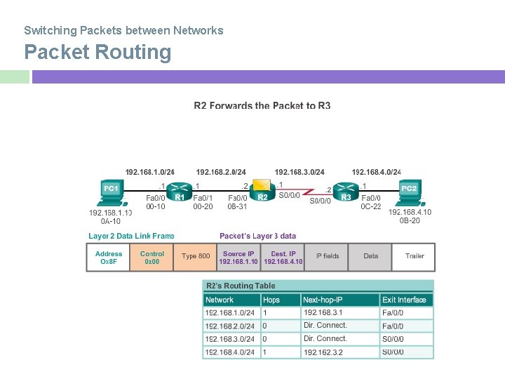 Switching Packets between Networks Packet Routing 