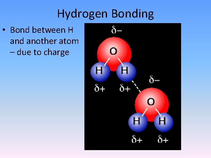 Hydrogen Bonding • Bond between H and another atom – due to charge 