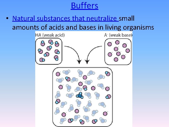 Buffers • Natural substances that neutralize small amounts of acids and bases in living
