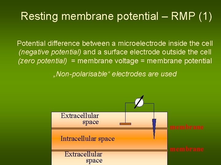 Resting membrane potential – RMP (1) Potential difference between a microelectrode inside the cell