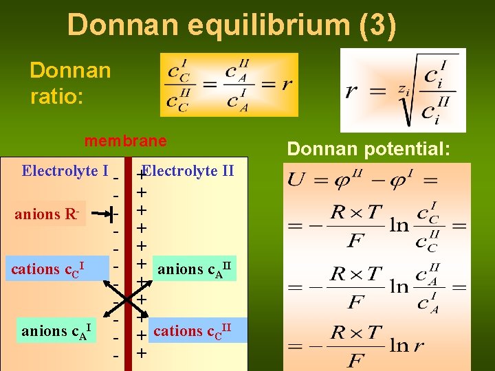 Donnan equilibrium (3) Donnan ratio: membrane Electrolyte I anions Rcations c. CI I anions