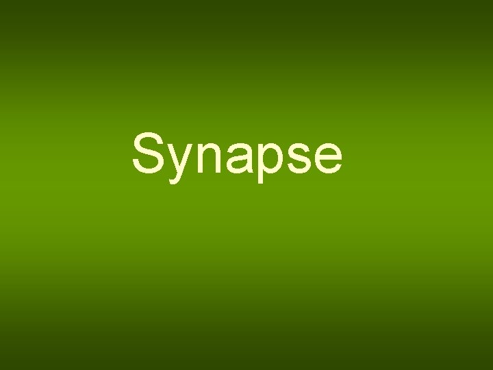 Synapse 