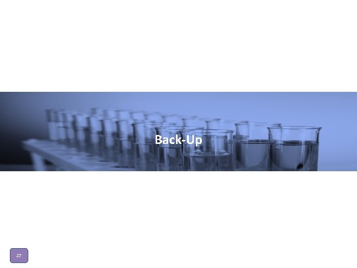 Back-Up 27 