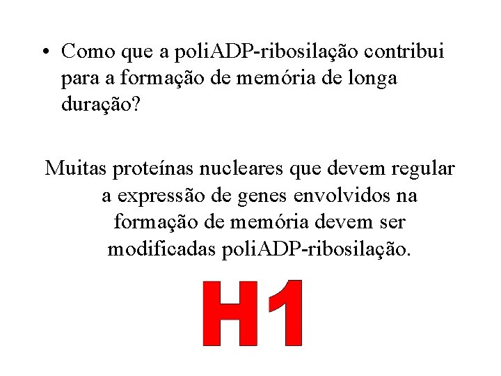  • Como que a poli. ADP-ribosilação contribui para a formação de memória de