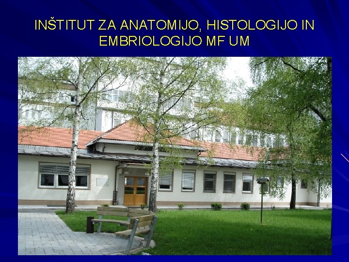 INŠTITUT ZA ANATOMIJO, HISTOLOGIJO IN EMBRIOLOGIJO MF UM 