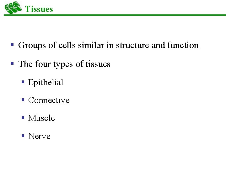 Tissues § Groups of cells similar in structure and function § The four types